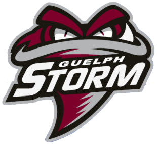 Guelph Storm 2018-Pres Alternate Logo iron on heat transfer...